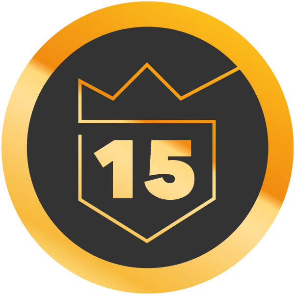 15 years medal