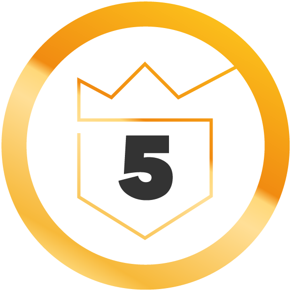 5 years medal