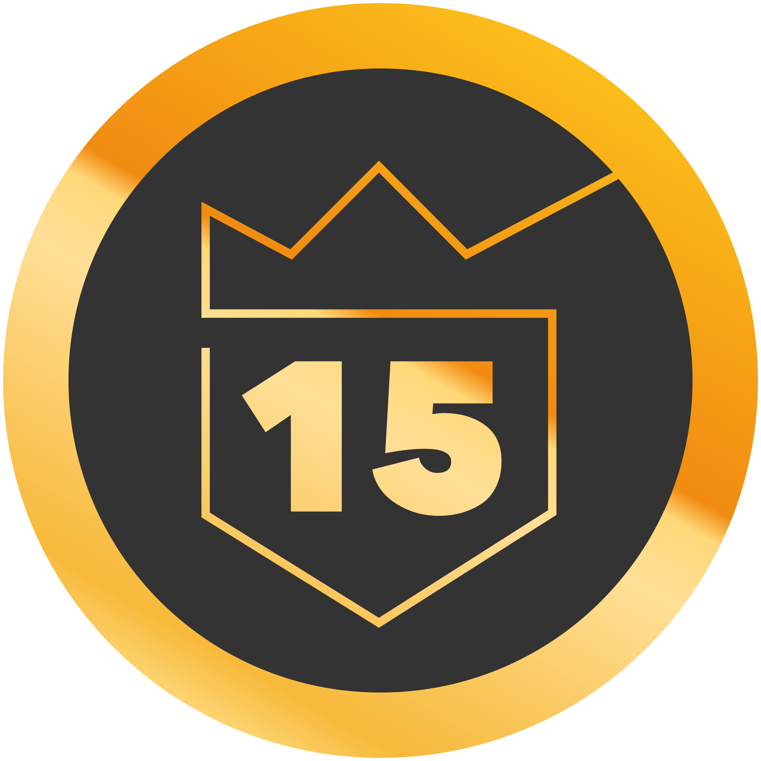 15 years medal