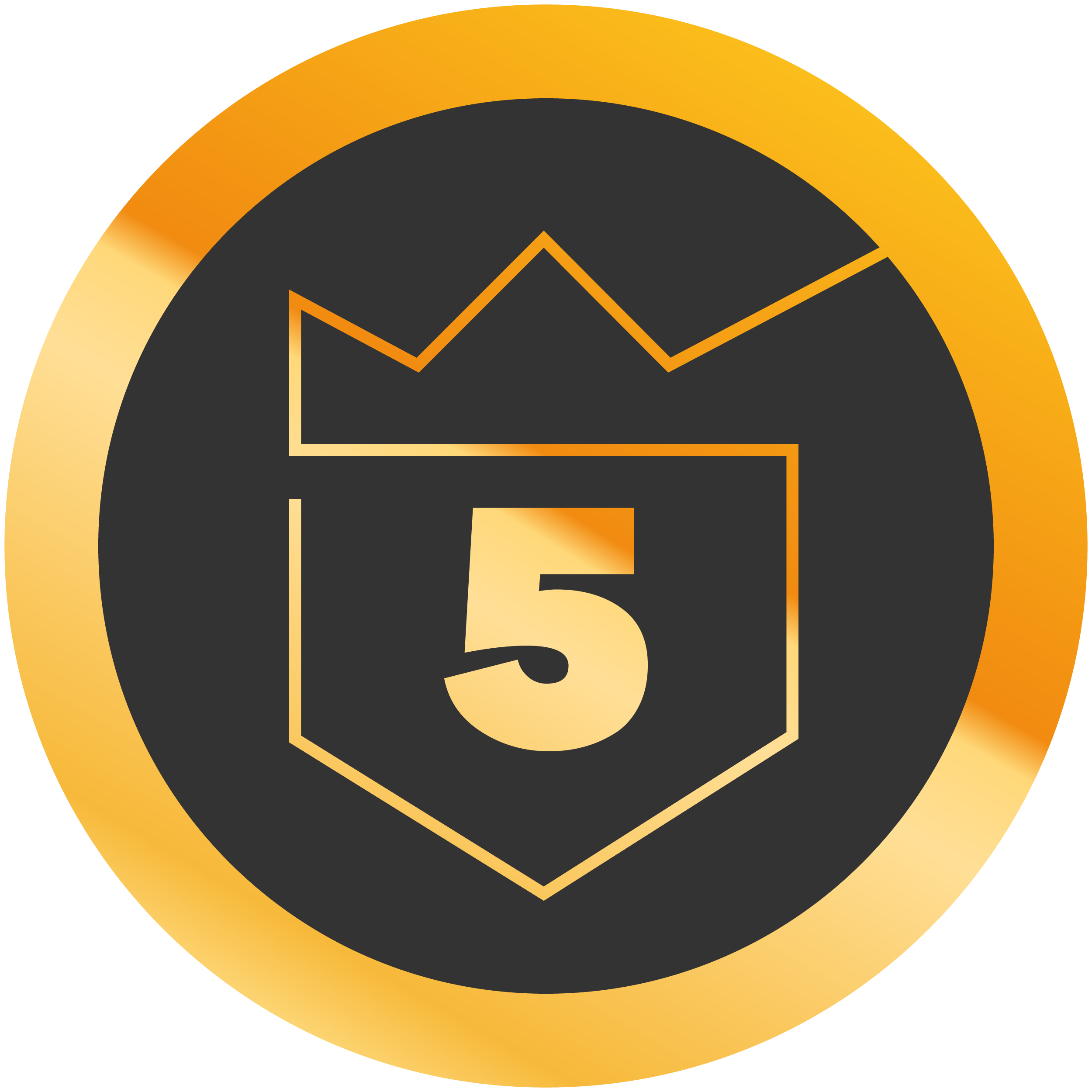 5 years medal